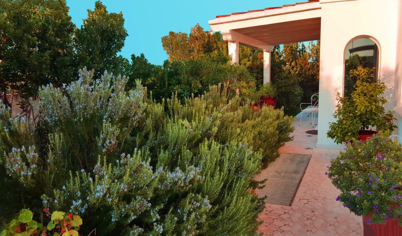 White House Luxury Hospitality Hotel Olbia Exterior foto
